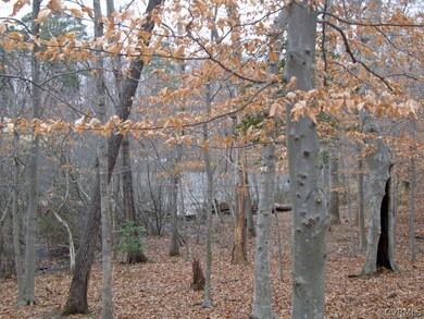Seasonal views of Lake Reed