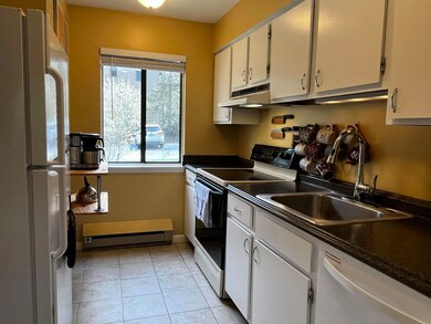 Large, bright kitchen