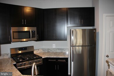 4408 Helmsford Ln unit 202, Fairfax, VA 22033 - photo 3