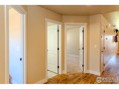 1111 Bison Way, Wiggins, CO 80654 - photo 5