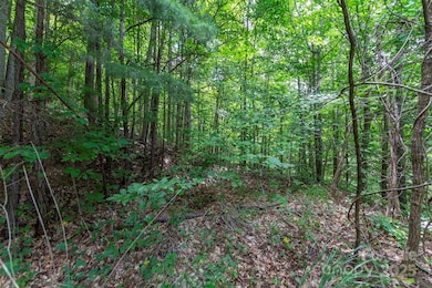 72 Applewood Ln unit 93, Weaverville, NC 28787 - photo 3