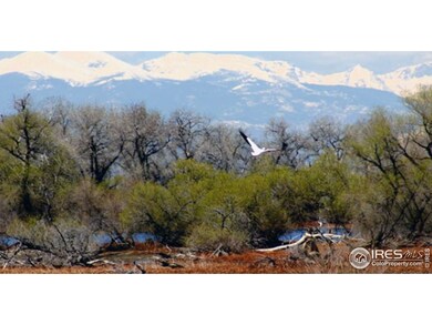 370 Mayeda St, Brighton, CO 80601 - photo 7