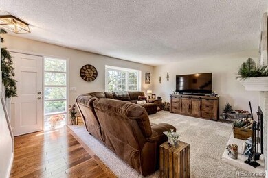 Open Living Room w Abundance of Space