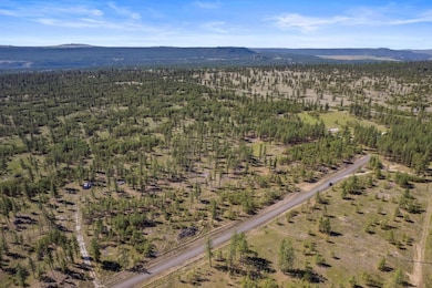 5742 Corkscrew Canyon Rd unit Lot 3, Tumtum, WA 99034 - photo 6