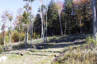 0 Garden Loop Rd unit 2/3/4 4673899, Winhall, VT 05340 - photo 2