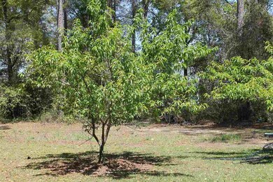 253 Bay Pine Dr, Crawfordville, FL 32327 - photo 4