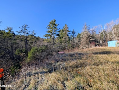 329 W Hague Rd, Hague, NY 12836 - photo 4