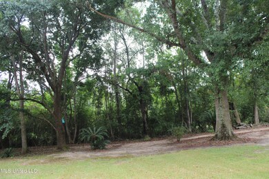 7230 Big Island Rd, Moss Point, MS 39562 - photo 5