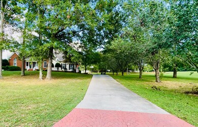 IMG_0040
