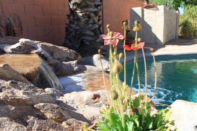 002 Backyard Waterfall