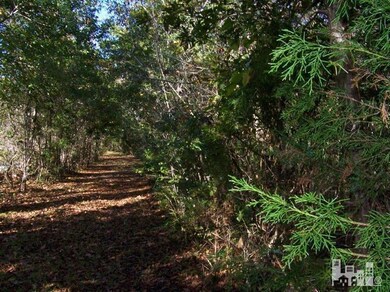 7312 Mason Landing Rd, Ogden, NC 28411 - photo 2