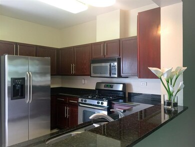 9335 Harrison St unit 2-714, Des Plaines, IL 60016 - photo 5