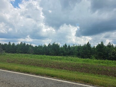 000 Louisiana 157, Plain Dealing, LA 71064 - photo 2