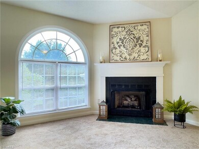 Gas log fireplace