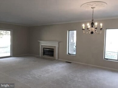 2331 Old Court Rd unit 102, Pikesville, MD 21208 - photo 3