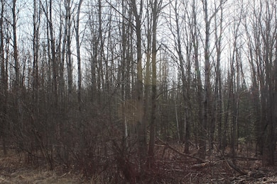 50XX S Maple Dr, Poplar, WI 54864 - photo 4