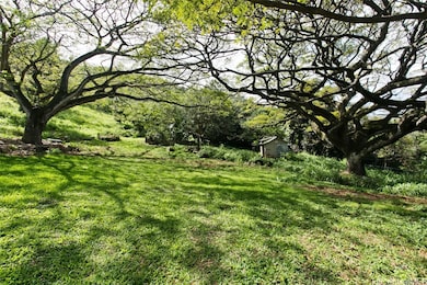 The Meadow area