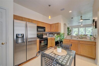 10023 Tranquility Way, Tampa, FL 33625 - photo 5