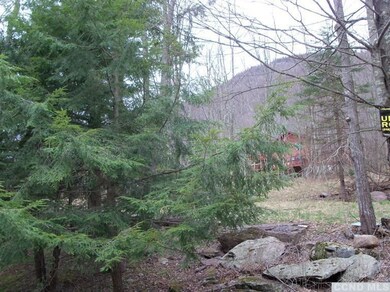 71 Hunter Ln, Hunter, NY 12492 - photo 6