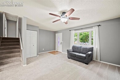 4260 Brightside Ct, Colorado Springs, CO 80916 - photo 7