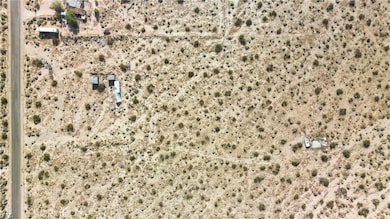 10313 Lake Rd, Cantil, CA 93519 - photo 3