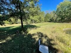 property 3 IMG_3779001