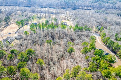 310 Tumbling Shoals Ct, Gray, GA 31032 - photo 4