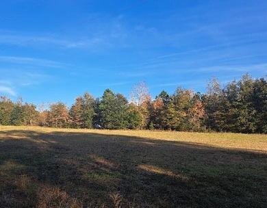 01 Joby Ln, Eutawville, SC 29048 - photo 3