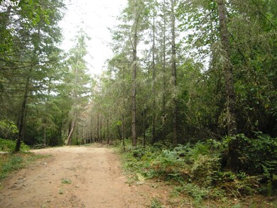 0 SW Laurelwood Rd, Gaston, OR 97119 - photo 2