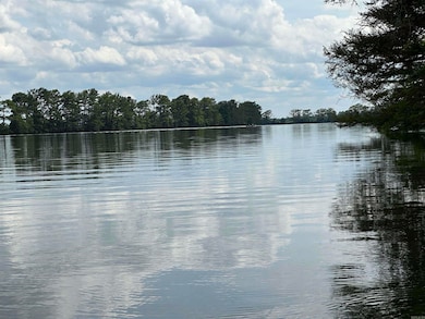 849 Arkansas 212, Dumas, AR 71639 - photo 3