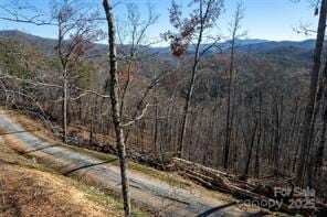 Lot 6 Osprey Mountain Way, Webster, NC 28779 - photo 2