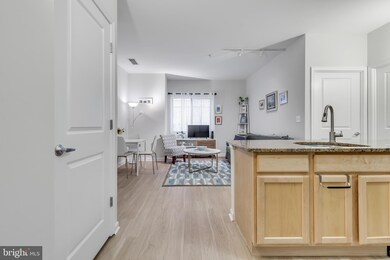 7923 Eastern Ave unit 106, Silver Spring, MD 20910 - photo 3