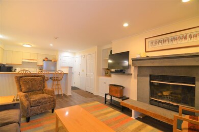 109 Okemo Ridge Rd unit C102, Ludlow, VT 05149 - photo 5