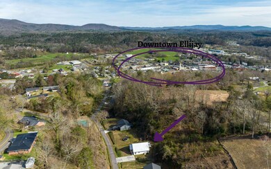 165 Logan Ln, Ellijay, GA 30540 - photo 3