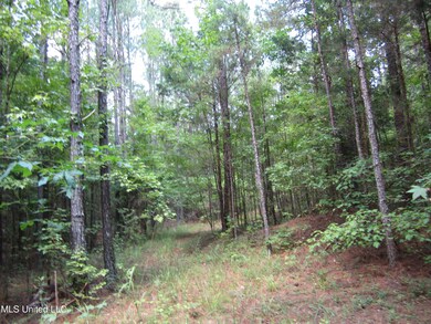 0 Mitchell Duke Rd, Pontotoc, MS 38863 - photo 2