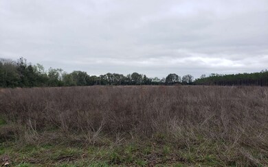 0 266th St, Branford, FL 32008 - photo 2