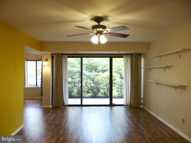 11323 Commonwealth Dr unit T3, Rockville, MD 20852 - photo 4