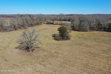 DJI_0114