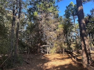 TR 5 Cr 219, Buffalo, TX 75831 - photo 2