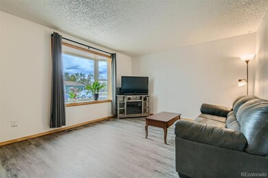 3474 E 117th Dr, Thornton, CO 80233 - photo 3