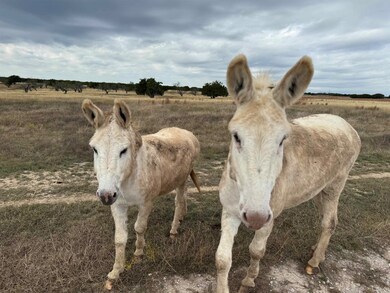 126 Acres County 204 Rd, Burnet, TX 78611 - photo 7