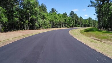 Lot 10 Hidden Lakes Dr, Albany, GA 31721 - photo 7