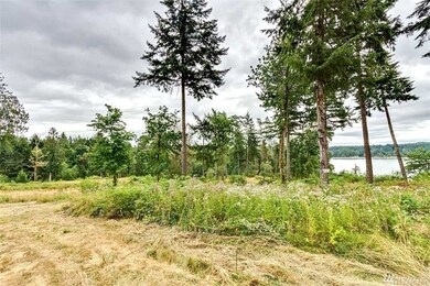 881 E April Ave, Grapeview, WA 98546 - photo 5