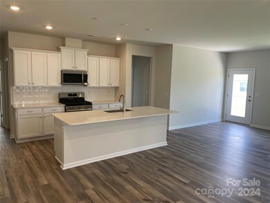 144 Pampas Place unit BF5 125, Statesville, NC 28625 - photo 4