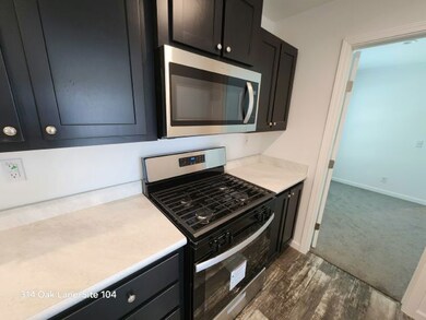 314 Oak Ln unit 104, Mankato, MN 56001 - photo 6