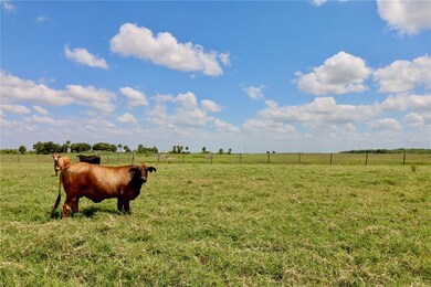 15666 NW 30th Terrace, Okeechobee, FL 34972 - photo 5