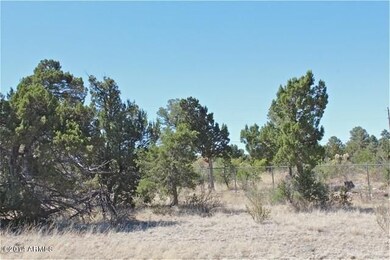 Lot-5