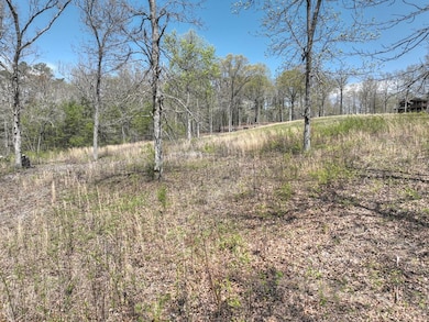 6 Arbor Creek Trail, Mineral Bluff, GA 30559 - photo 6