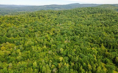 00 Mellish Rd, Alstead, NH 03602 - photo 4