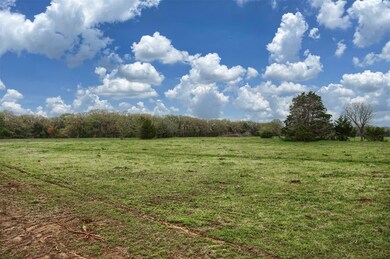 2465 Riley Rd unit Tract 2, Whitesboro, TX 76273 - photo 7